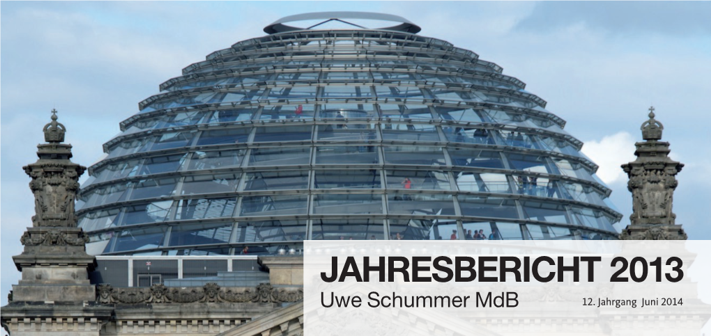 JAHRESBERICHT 2013 Uwe Schummer Mdb 12