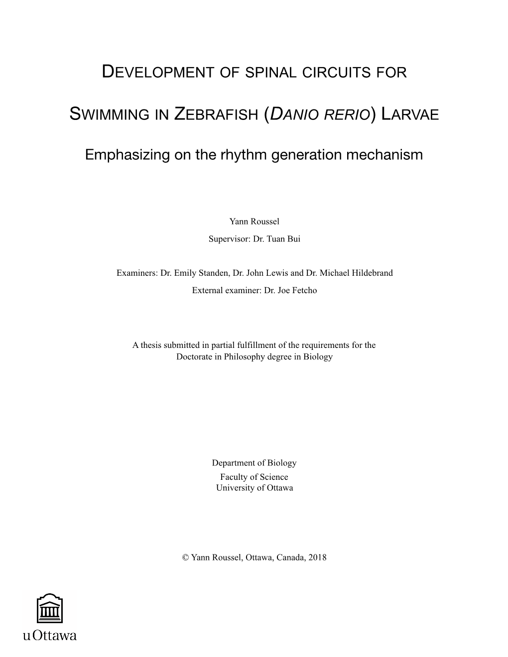 Emphasizing on the Rhythm Generation Mechanism