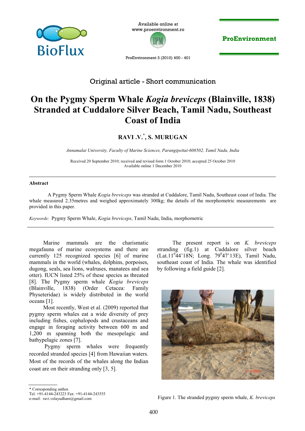 On the Pygmy Sperm Whale Kogia Breviceps (Blainville, 1838) Stranded at Cuddalore Silver Beach, Tamil Nadu, Southeast Coast of India