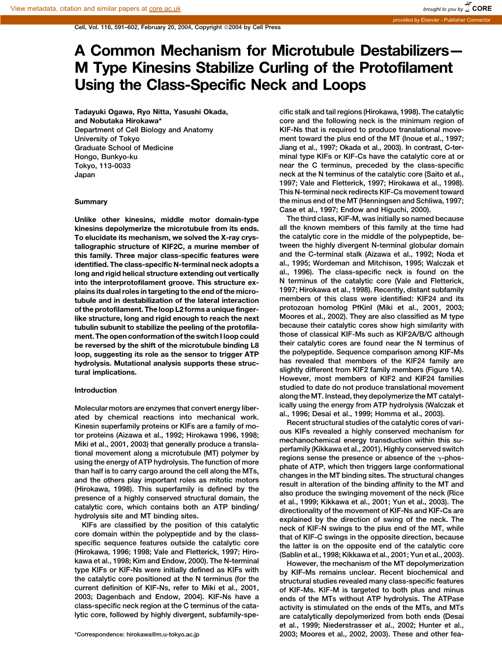 M Type Kinesins Stabilize Curling of the Protofilament Using the Class-Specific Neck and Loops