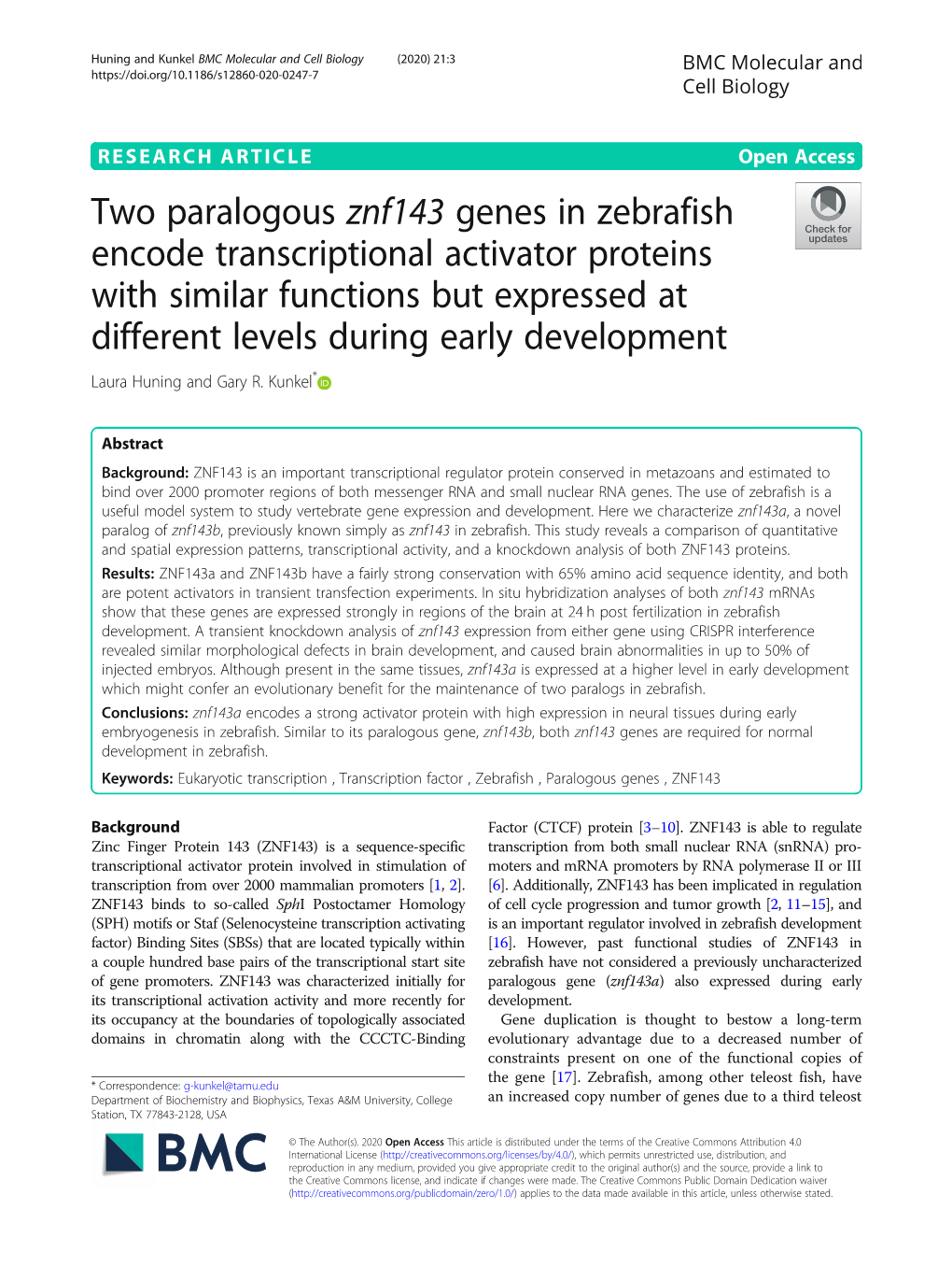 Two Paralogous Znf143 Genes in Zebrafish Encode Transcriptional