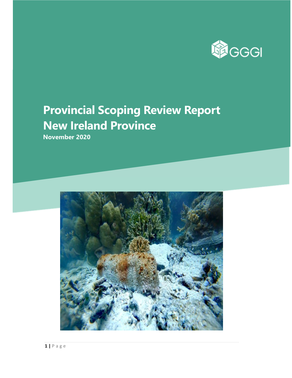 Provincial Scoping Review Report New Ireland Province November 2020