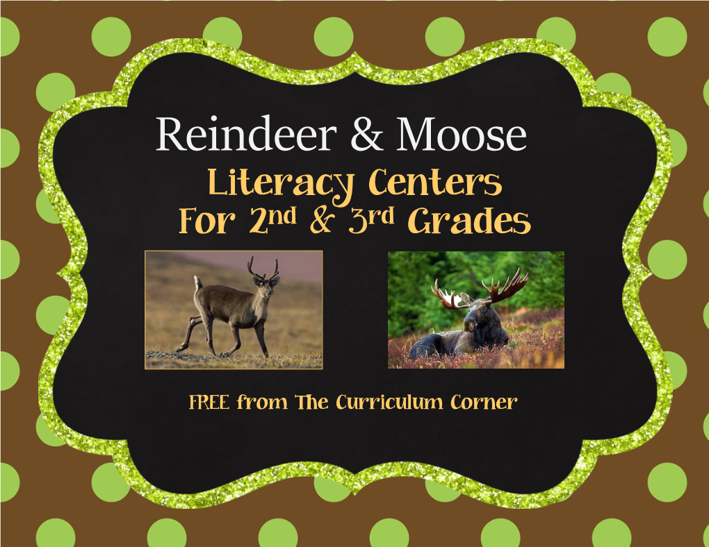 Reindeer & Moose