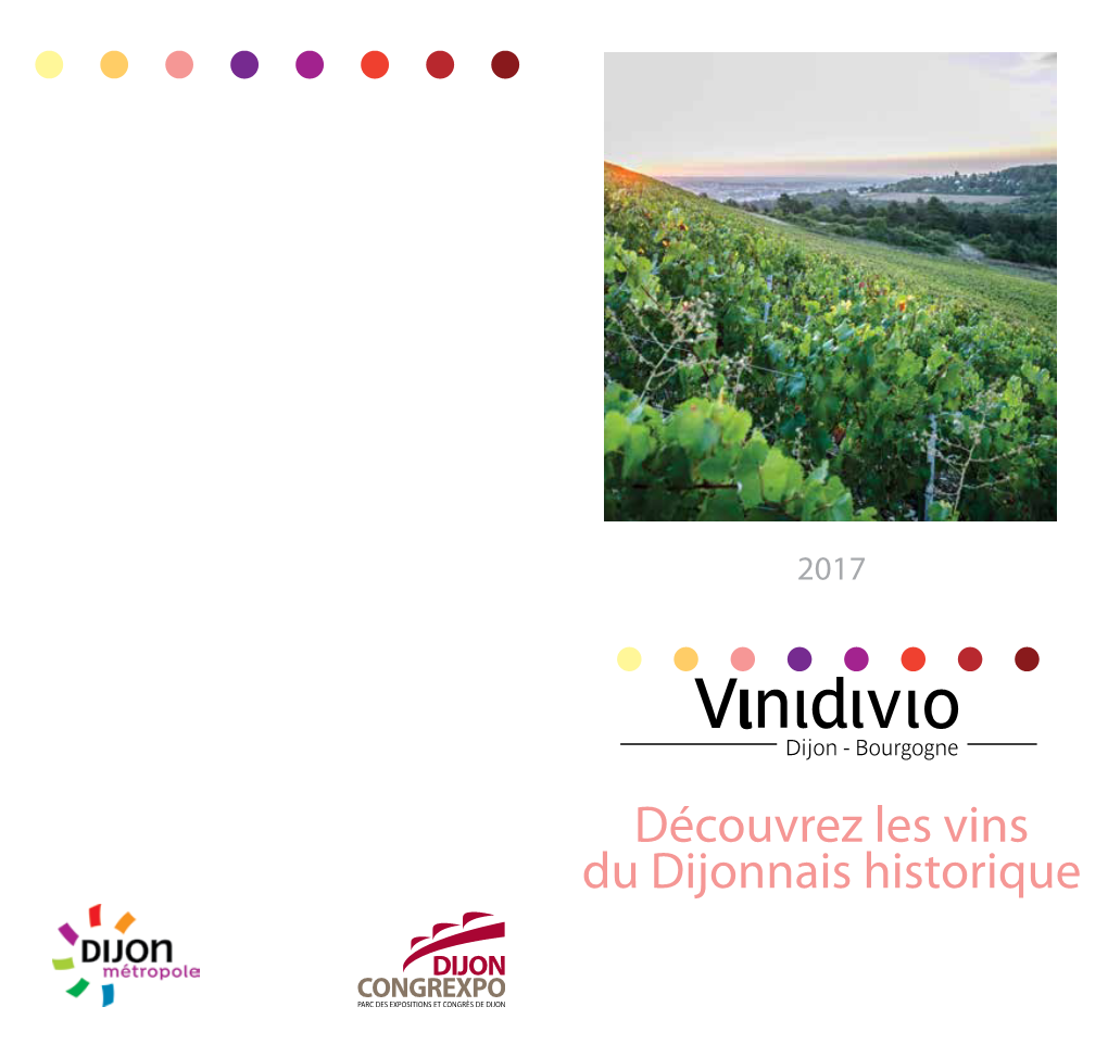 Découvrez Les Vins Du Dijonnais Historique