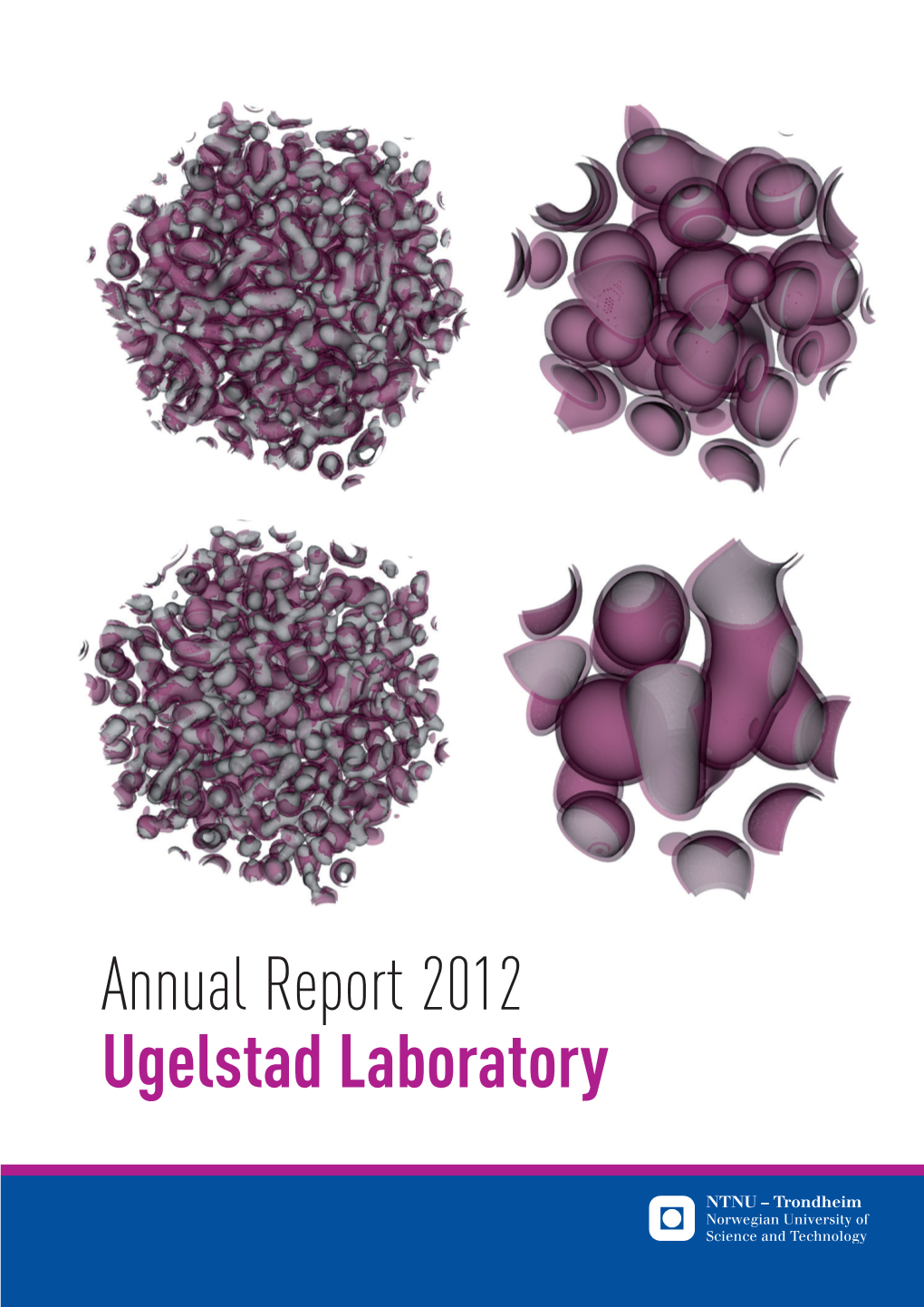 Annual Report 2012 Ugelstad Laboratory Ugelstad Laboratory Annual Report 2012