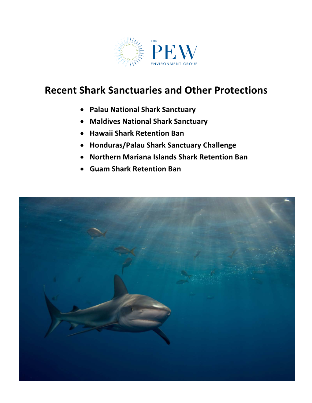 Recent Shark Sanctuaries and Other Protections