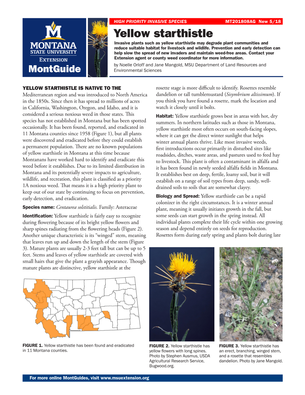 Yellow Starthistle Invasive Plants Such As Yellow Starthistle May Degrade Plant Communities and Reduce Suitable Habitat for Livestock and Wildlife