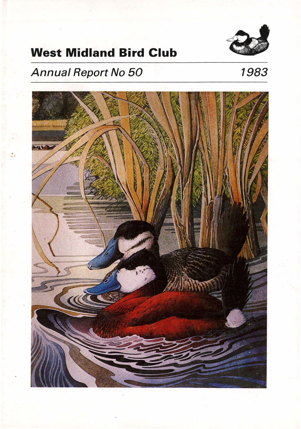 West Midland Bird Club Annual Report No 50 1983 Ruddy Ducks by Mike Warren West Midland Bird Club