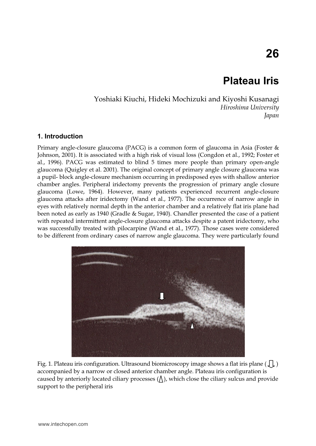 Plateau Iris