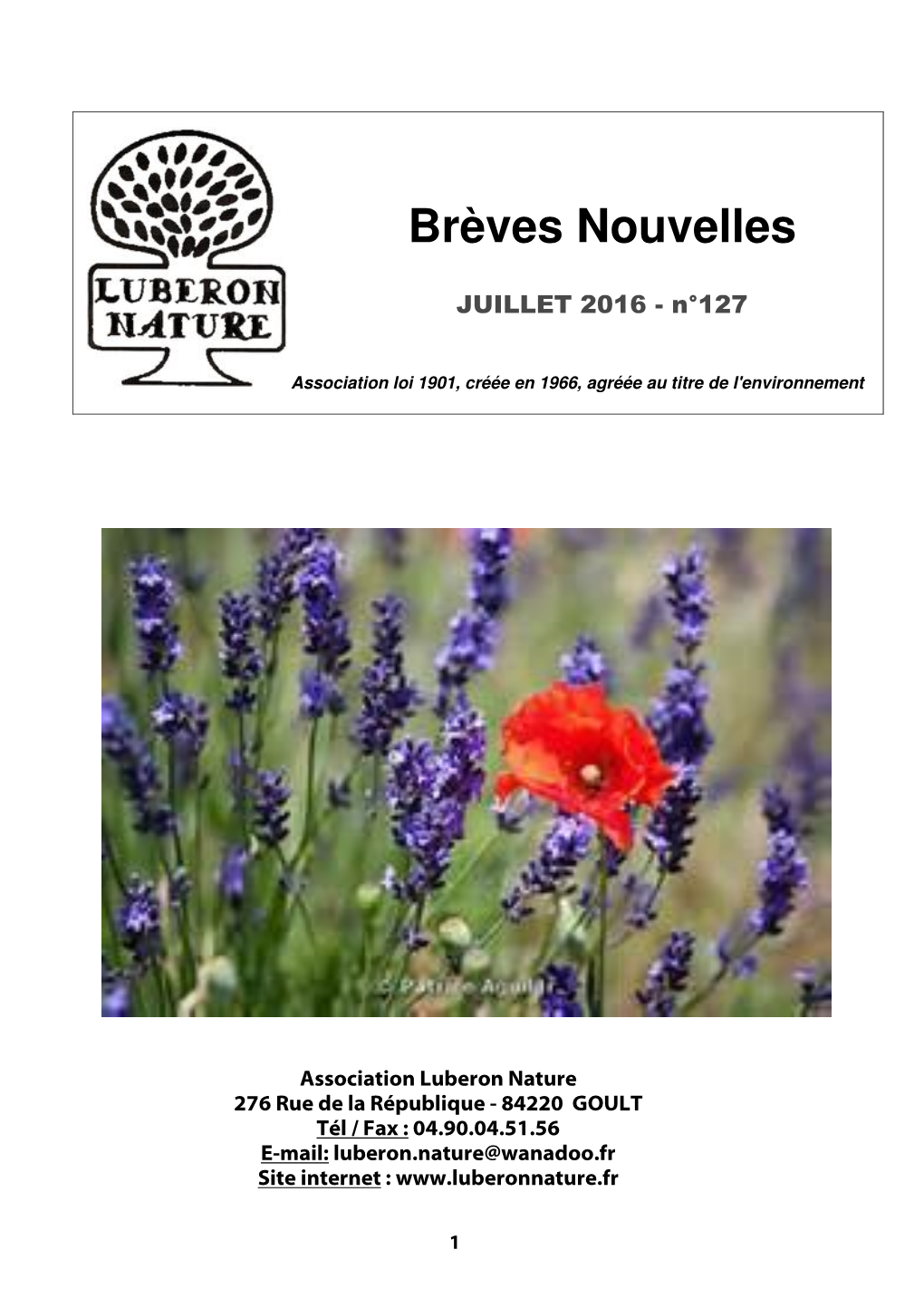 Brèves Nouvelles