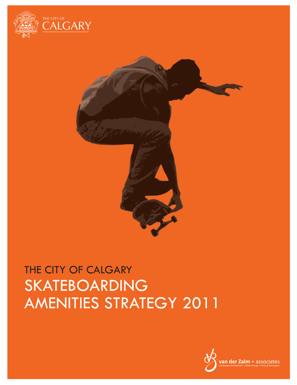 Skateboarding Amenities Strategy 2011