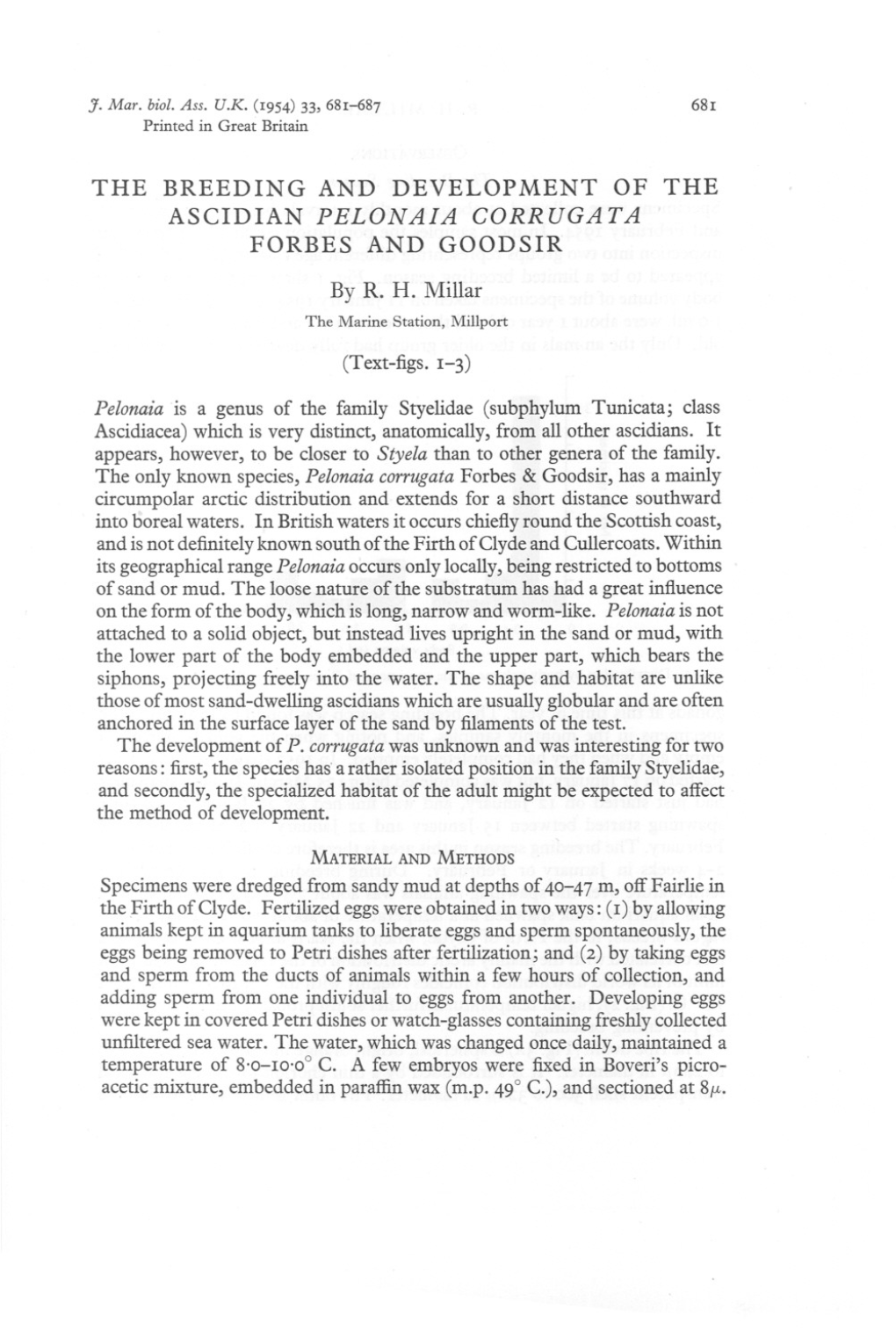 THE BREEDING and DEVELOPMENT of the ASCIDIAN PELONAIA CORRUGATA FORBES and GOOD SIR by R