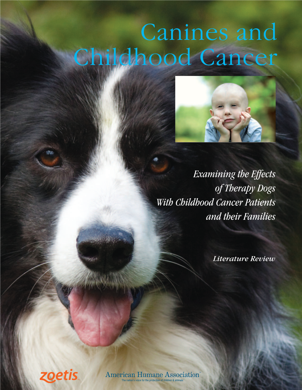 Canines and Childhood Cancer