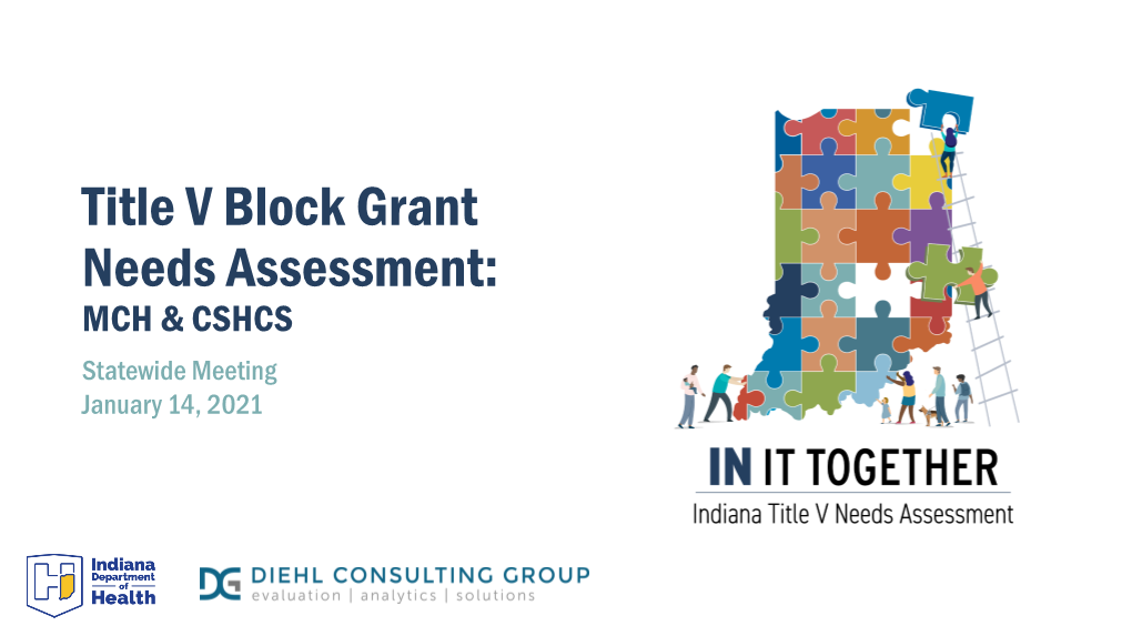 Title V Block Grant Needs Assessment