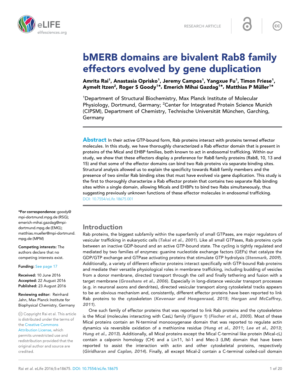 Bmerb Domains Are Bivalent Rab8 Family Effectors Evolved by Gene