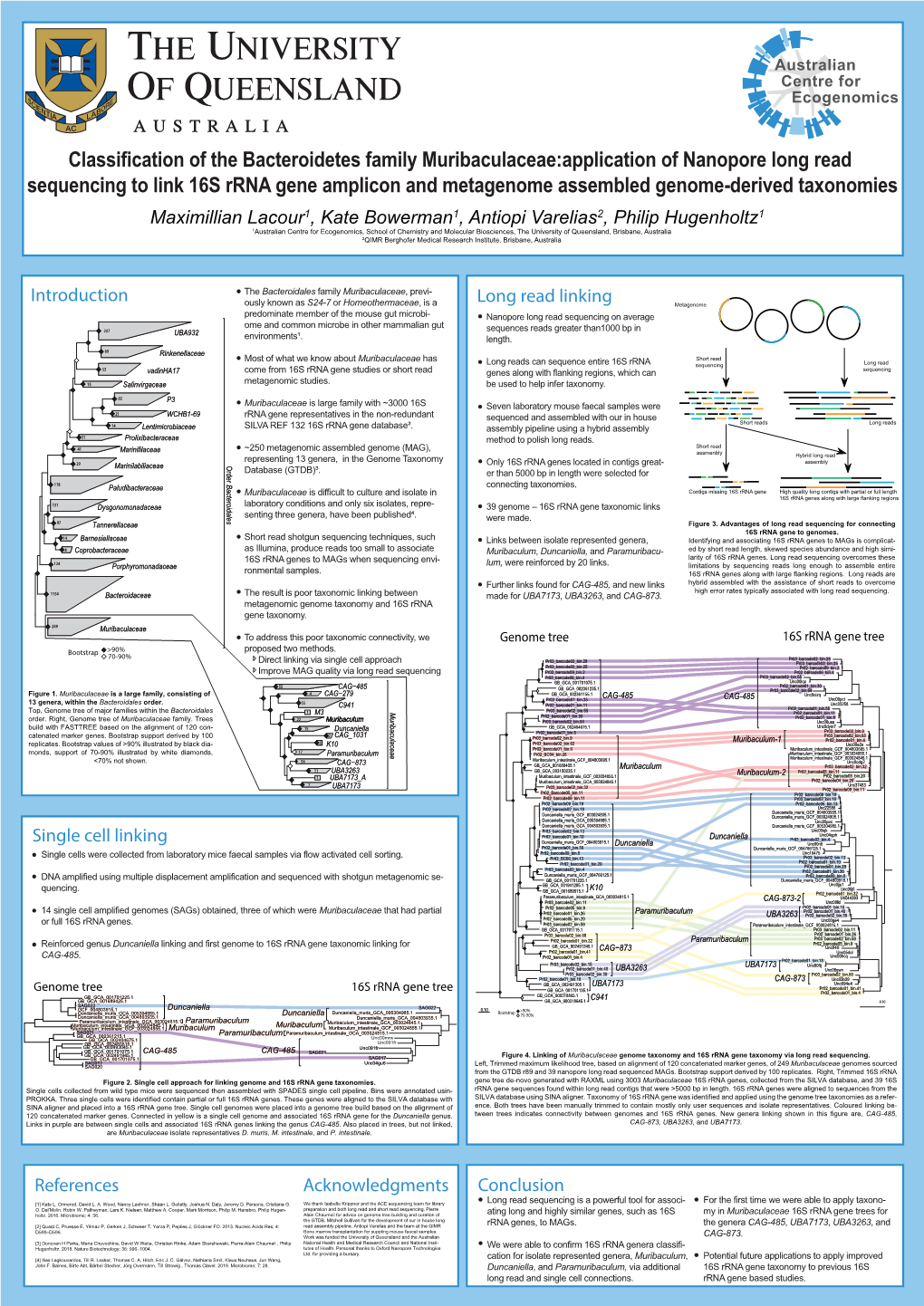 Classification of the Bacteroidetes Family Muribaculaceae:Application