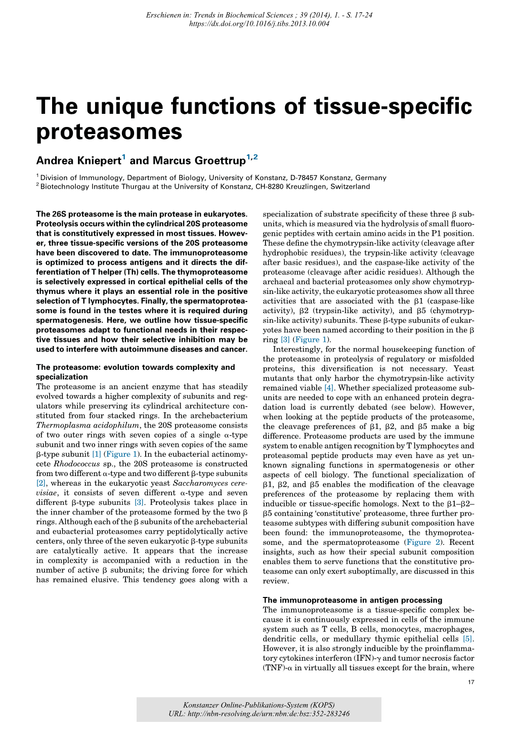 The Unique Functions of Tissue-Specific Proteasomes