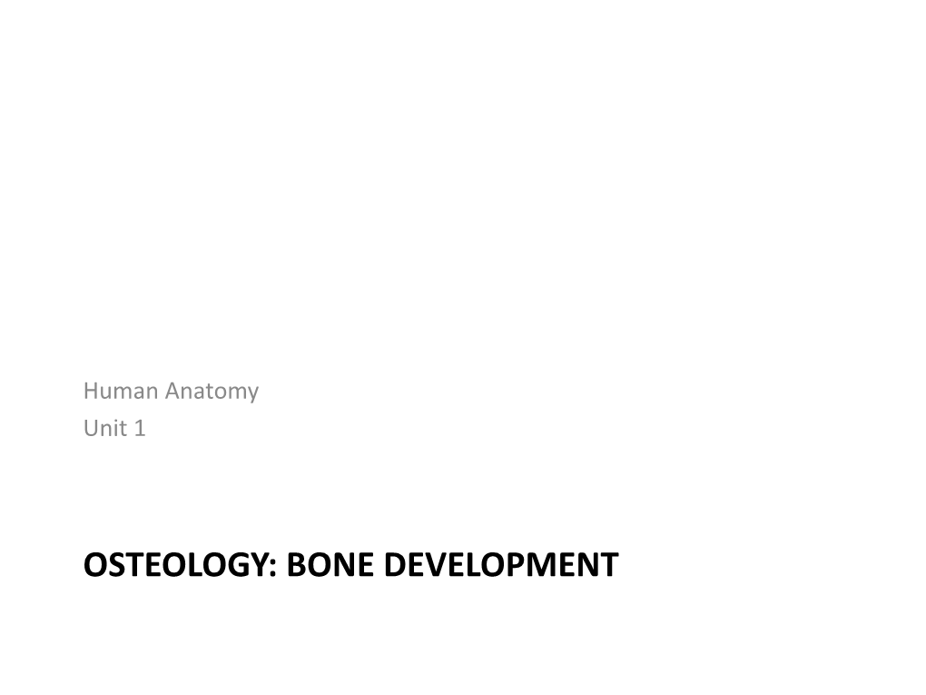 3 Anat 35 Bone Development