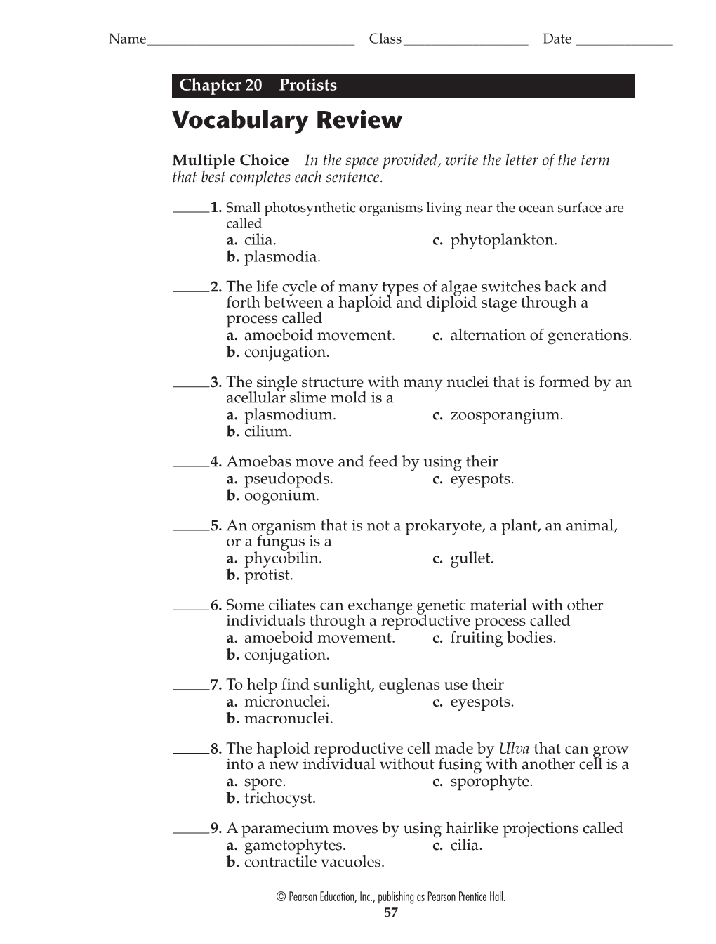 Vocabulary Review