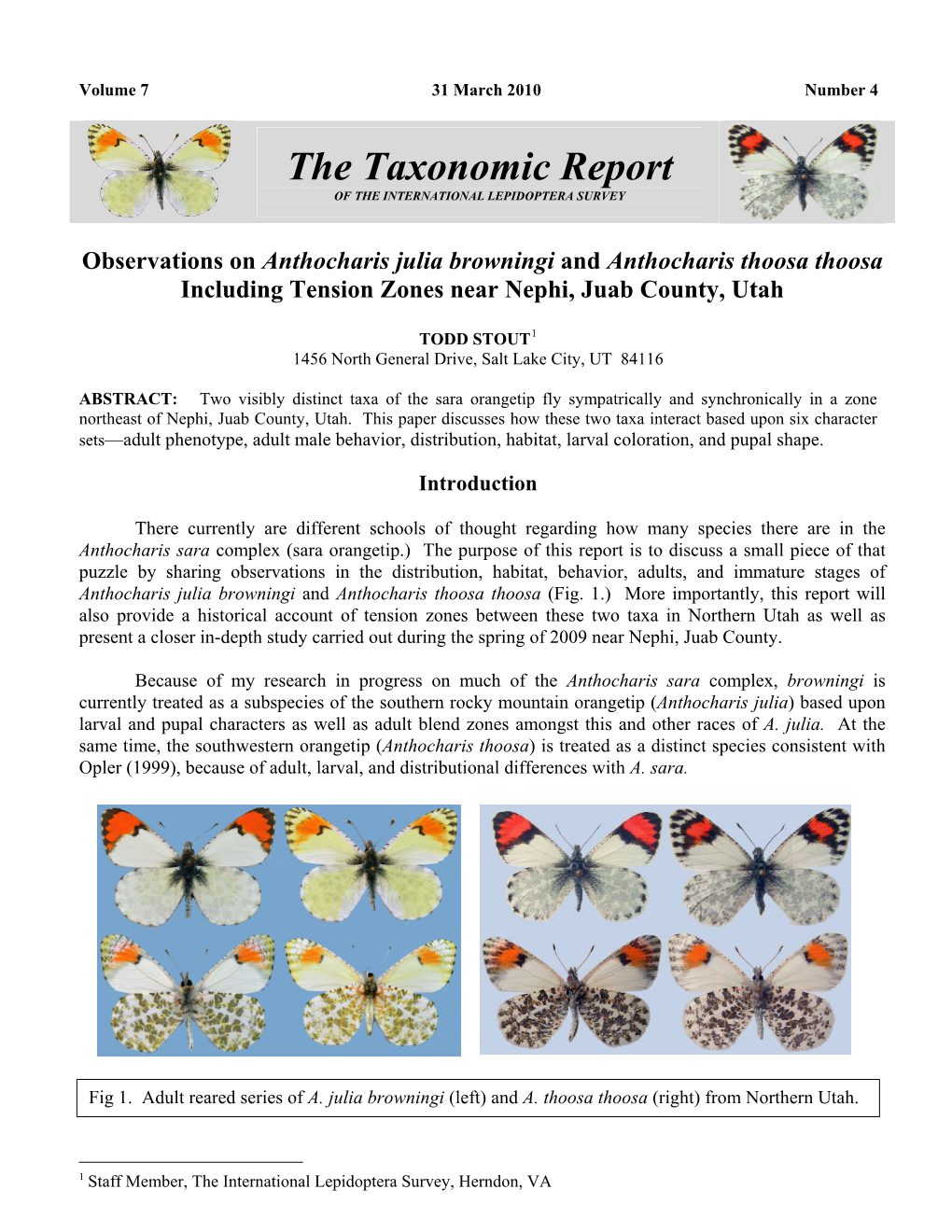 Taxonomic Report of the INTERNATIONAL LEPIDOPTERA SURVEY