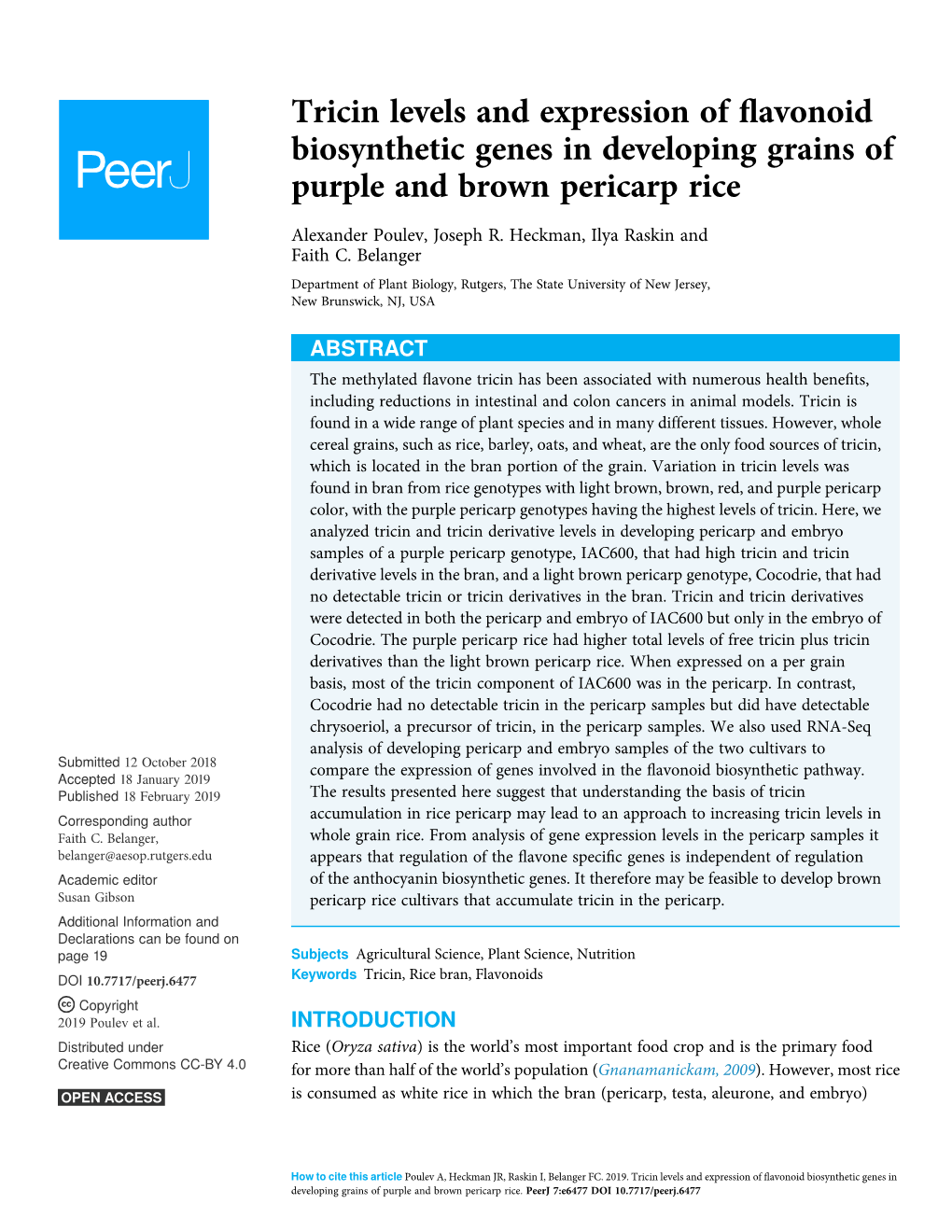 Tricin Levels and Expression of Flavonoid Biosynthetic Genes in Developing Grains of Purple and Brown Pericarp Rice