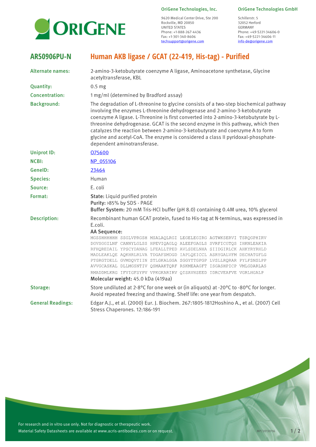 Human AKB Ligase / GCAT (22-419, His-Tag) - Purified