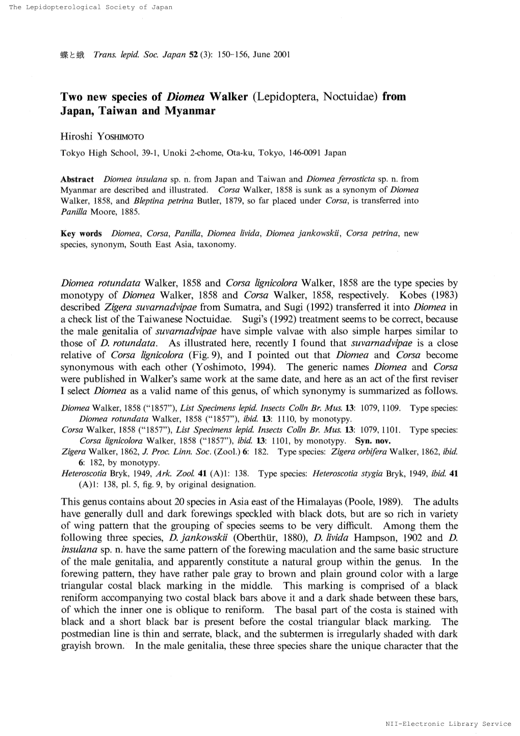 Two New Species of Diomea Walker (Lepidoptera, Noctuidae) From