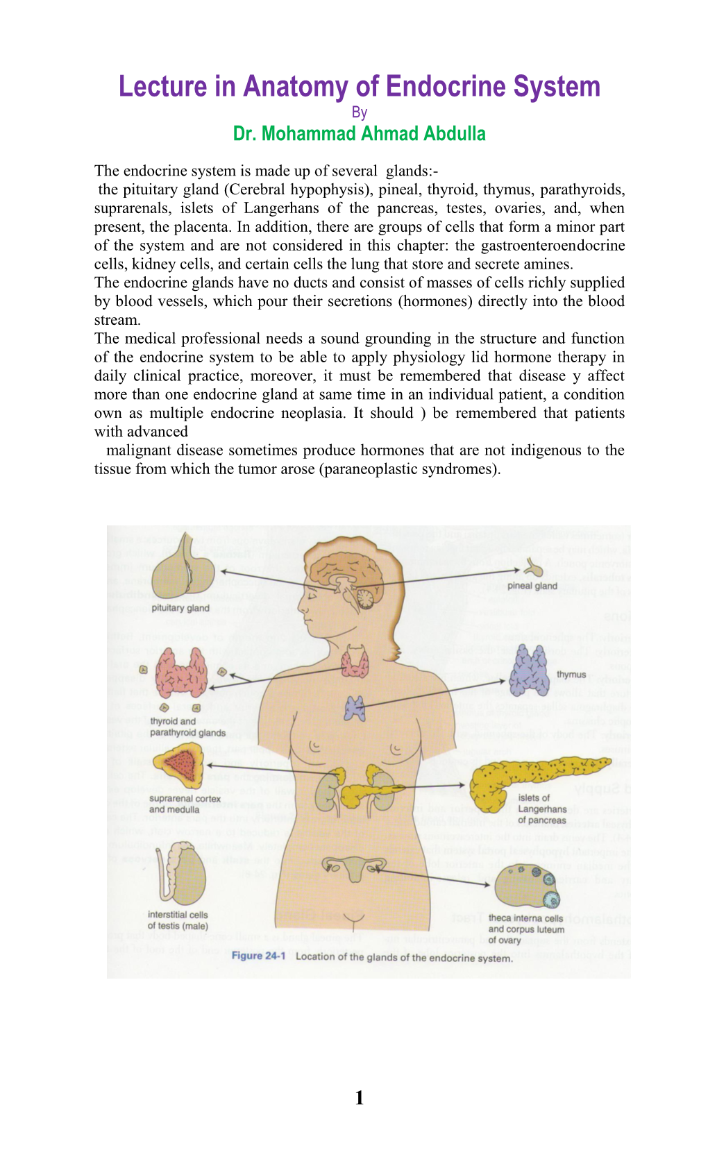 Lecture in Anatomy of Endocrine System by Dr