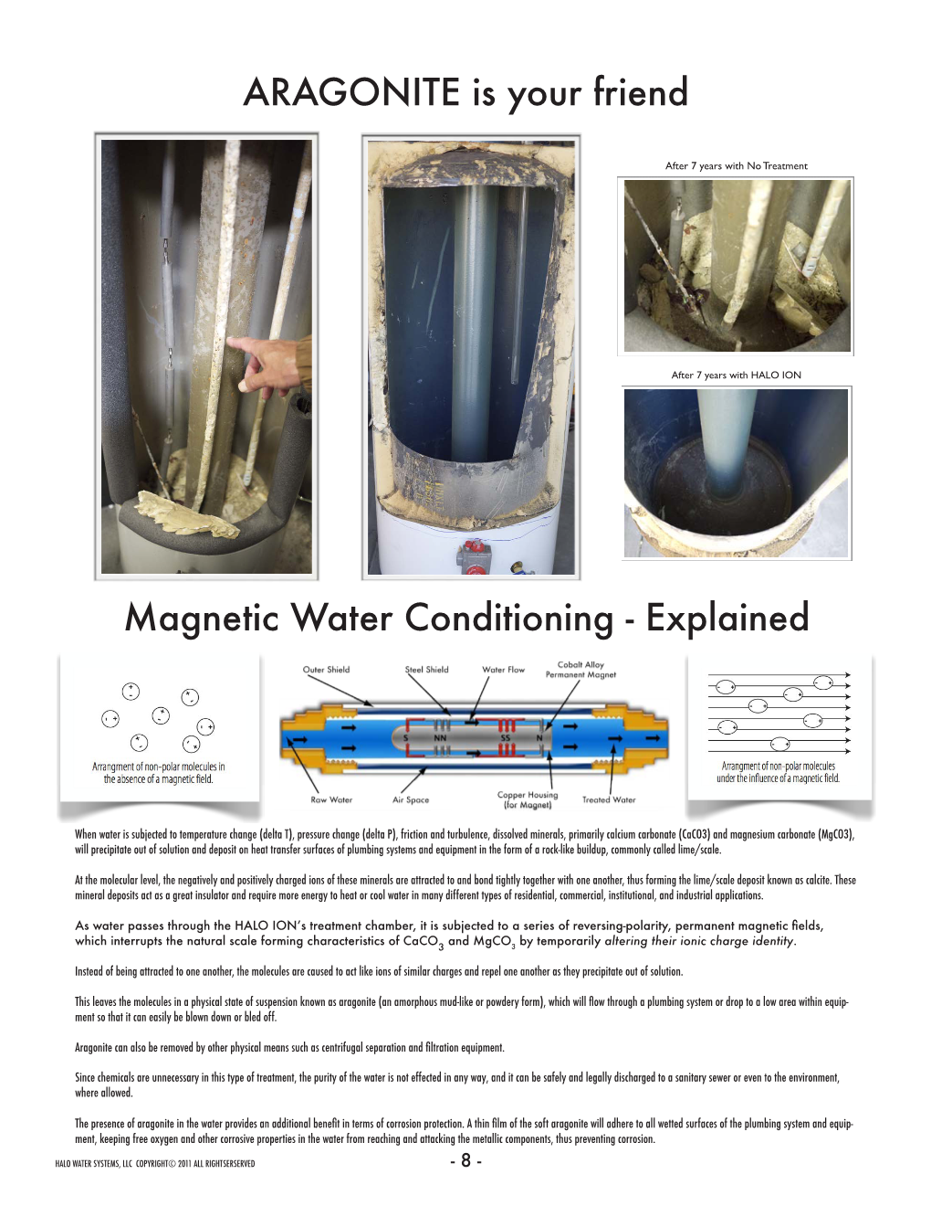 ARAGONITE Is Your Friend Magnetic Water