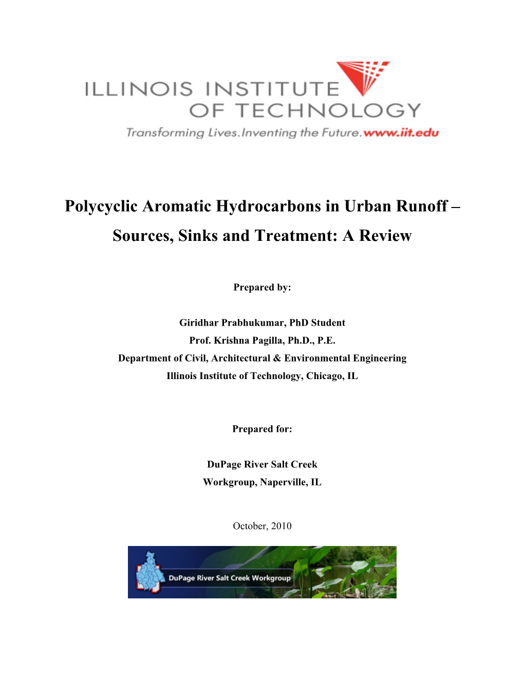 Polycyclic Aromatic Hydrocarbons in Urban Runoff – Sources, Sinks and Treatment: a Review