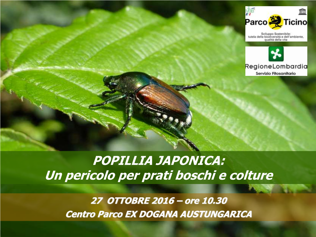 Presentazione Parco Ticino