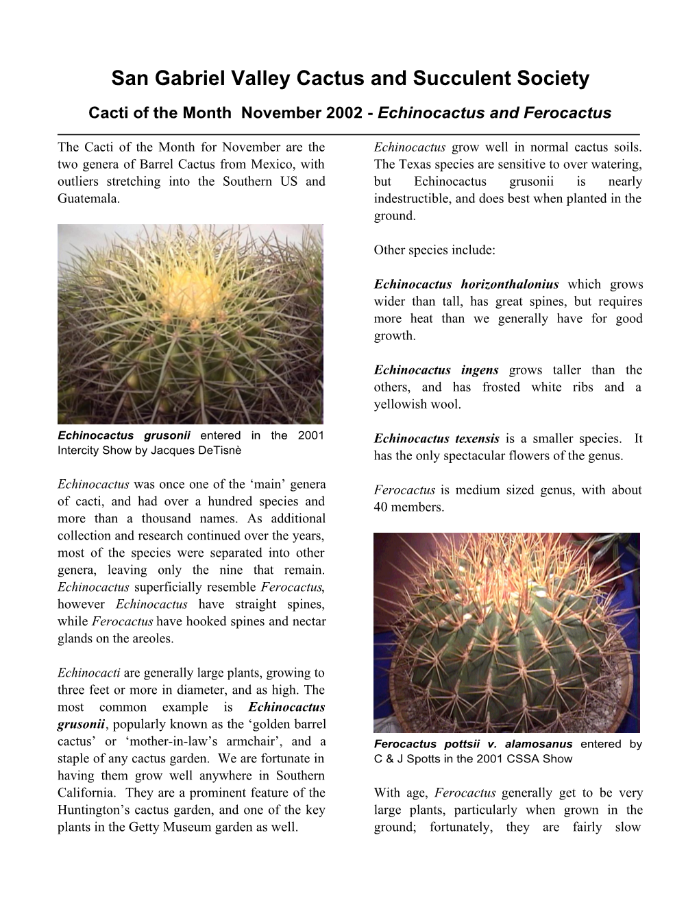 Echinocactus and Ferocactus