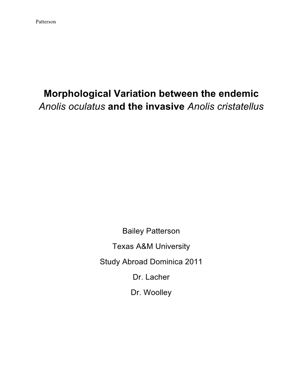 Morphological Variation Between the Endemic Anolis Oculatus and the Invasive Anolis Cristatellus