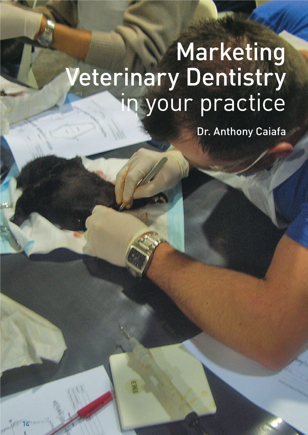 Marketing Veterinary Dentistry in Your Practice Dr