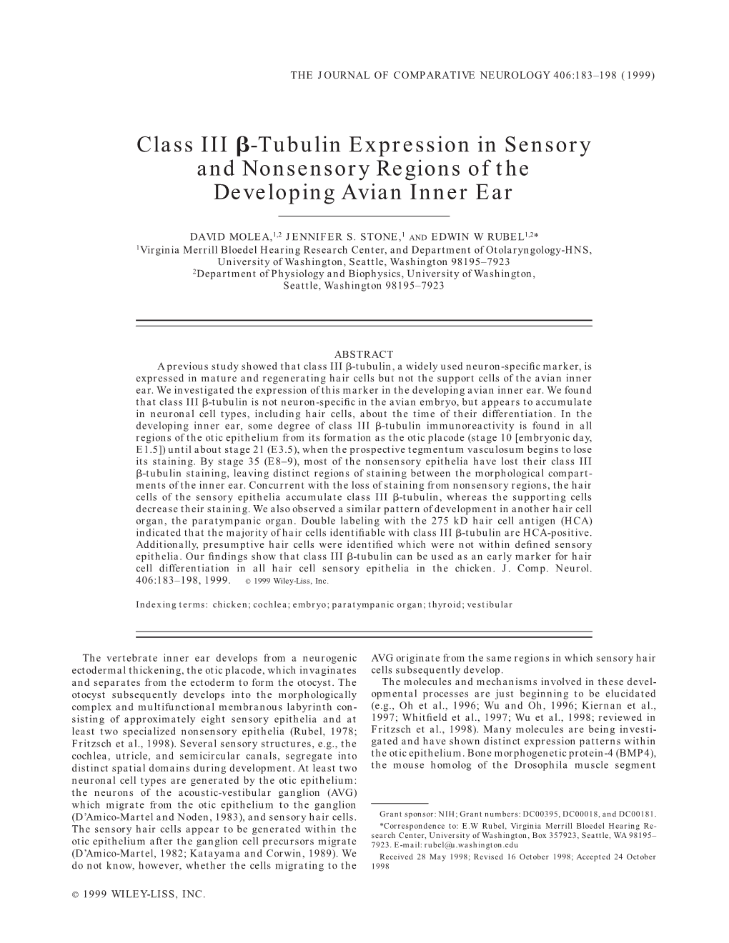 Class III ß-Tubulin Expression in Sensory and Nonsensory Regions