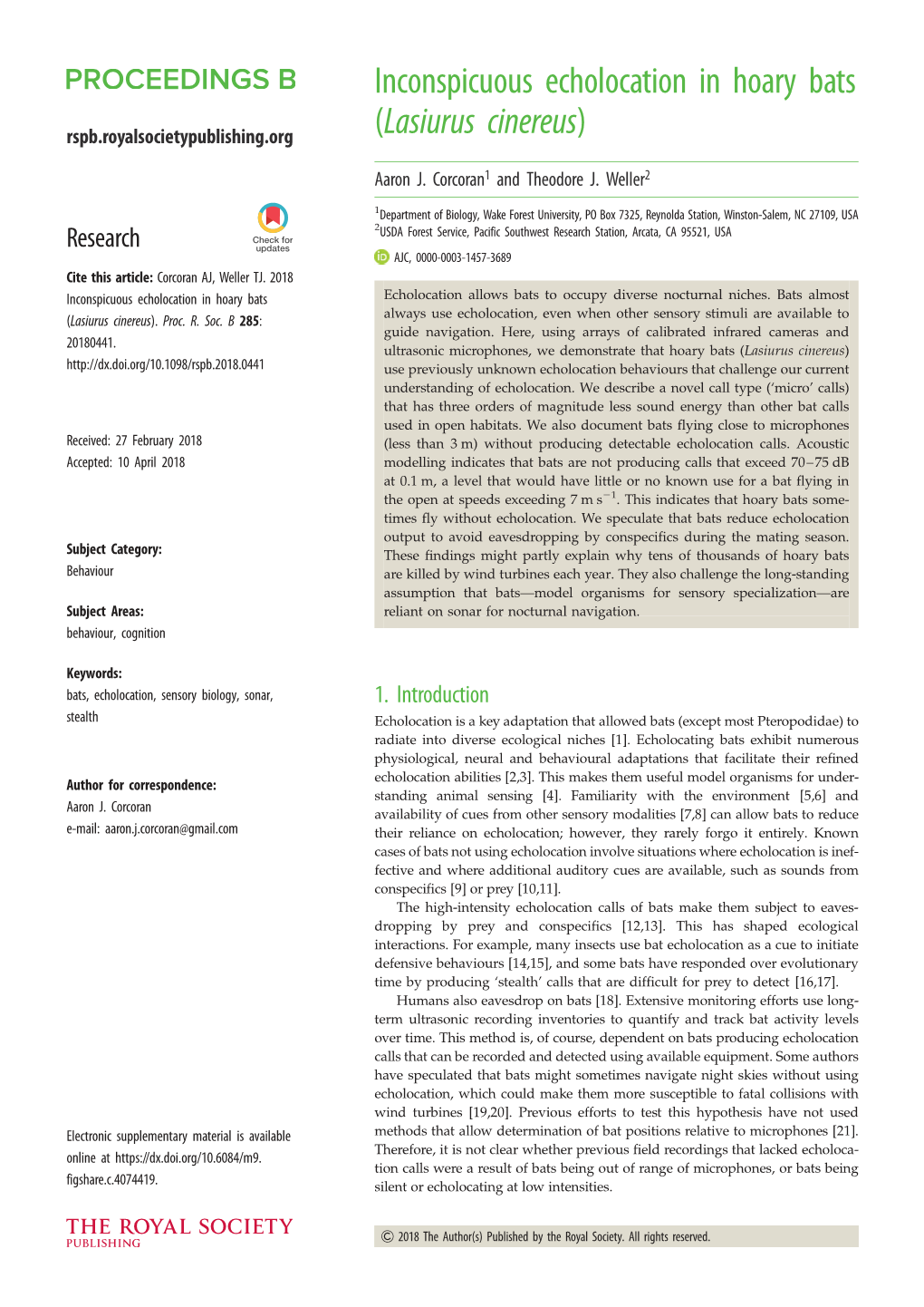 Inconspicuous Echolocation in Hoary Bats (Lasiurus Cinereus)