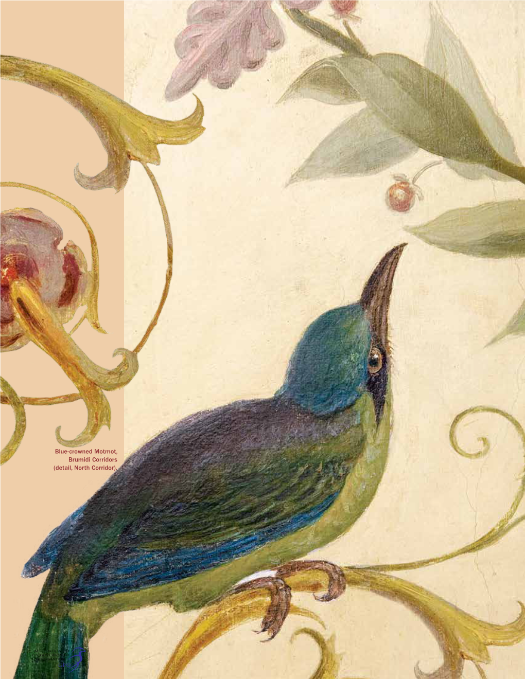 The Unlikely Significance of Brumidi's Motmot