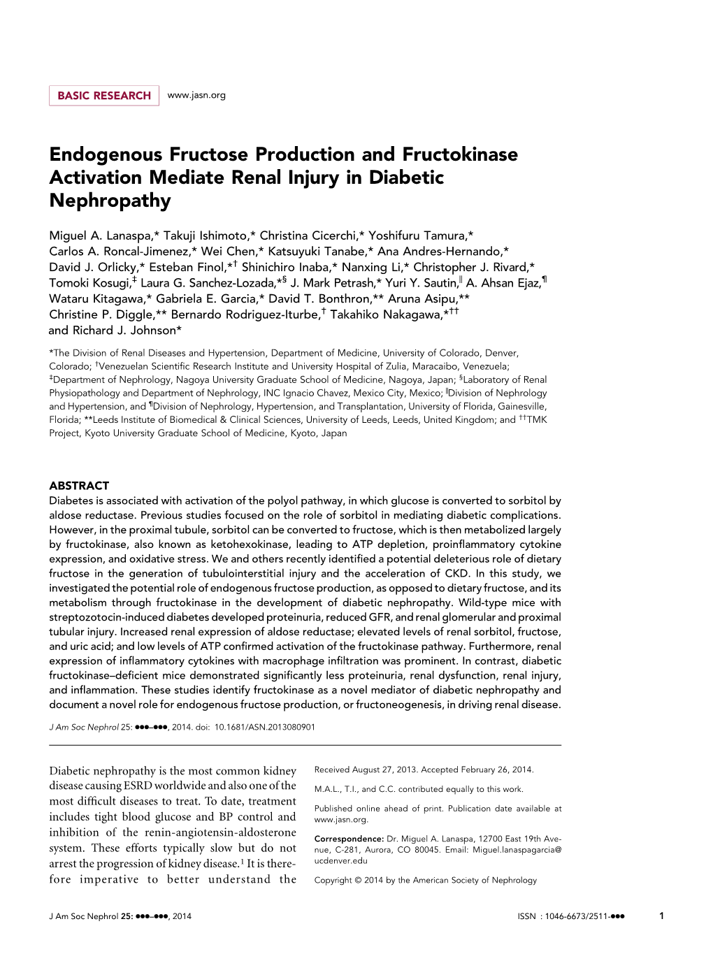 Endogenous Fructose Production and Fructokinase Activation Mediate Renal Injury in Diabetic Nephropathy