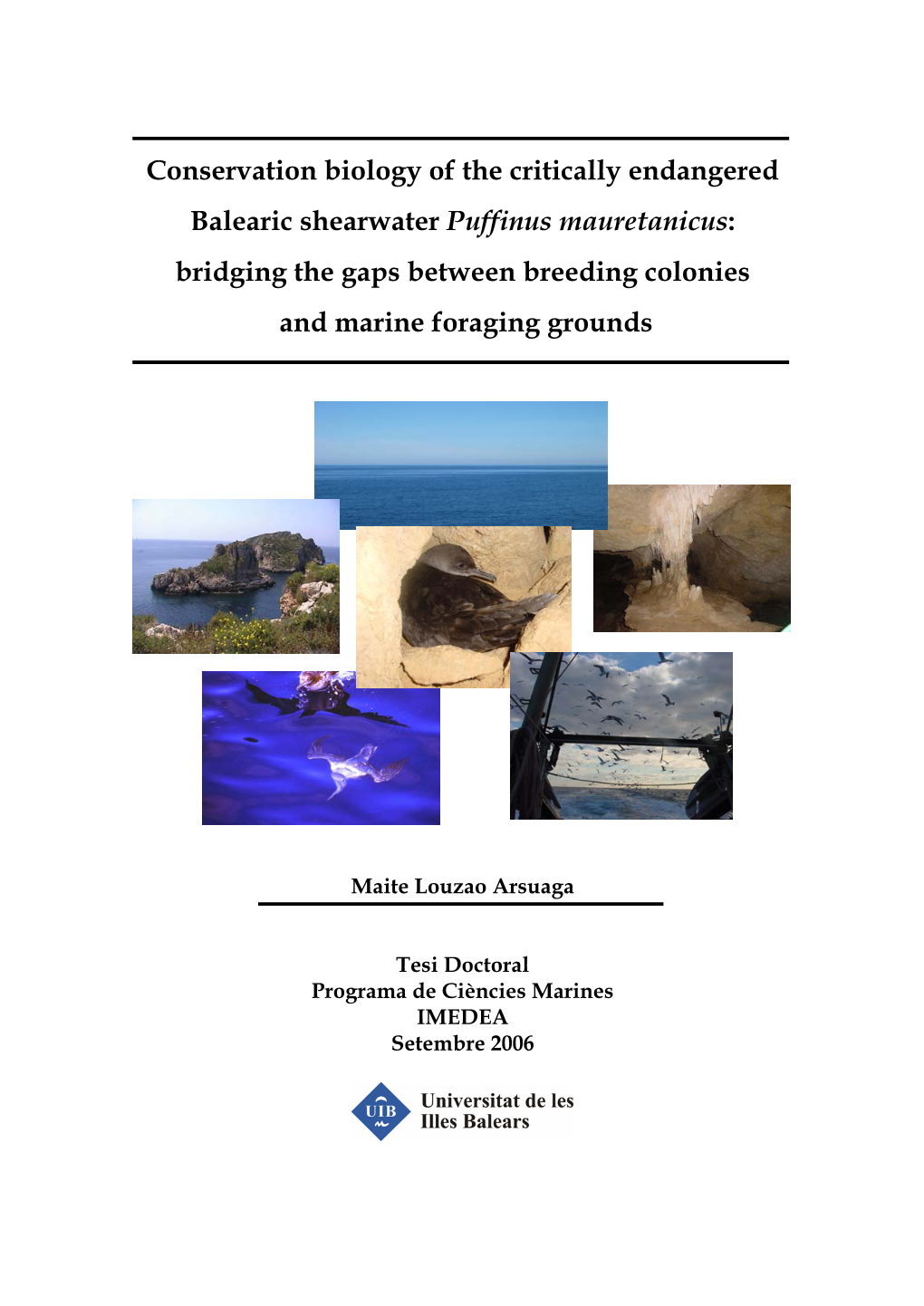 Conservation Biology of the Critically Endangered Balearic Shearwater Puffinus Mauretanicus: Bridging the Gaps Between Breeding Colonies and Marine Foraging Grounds