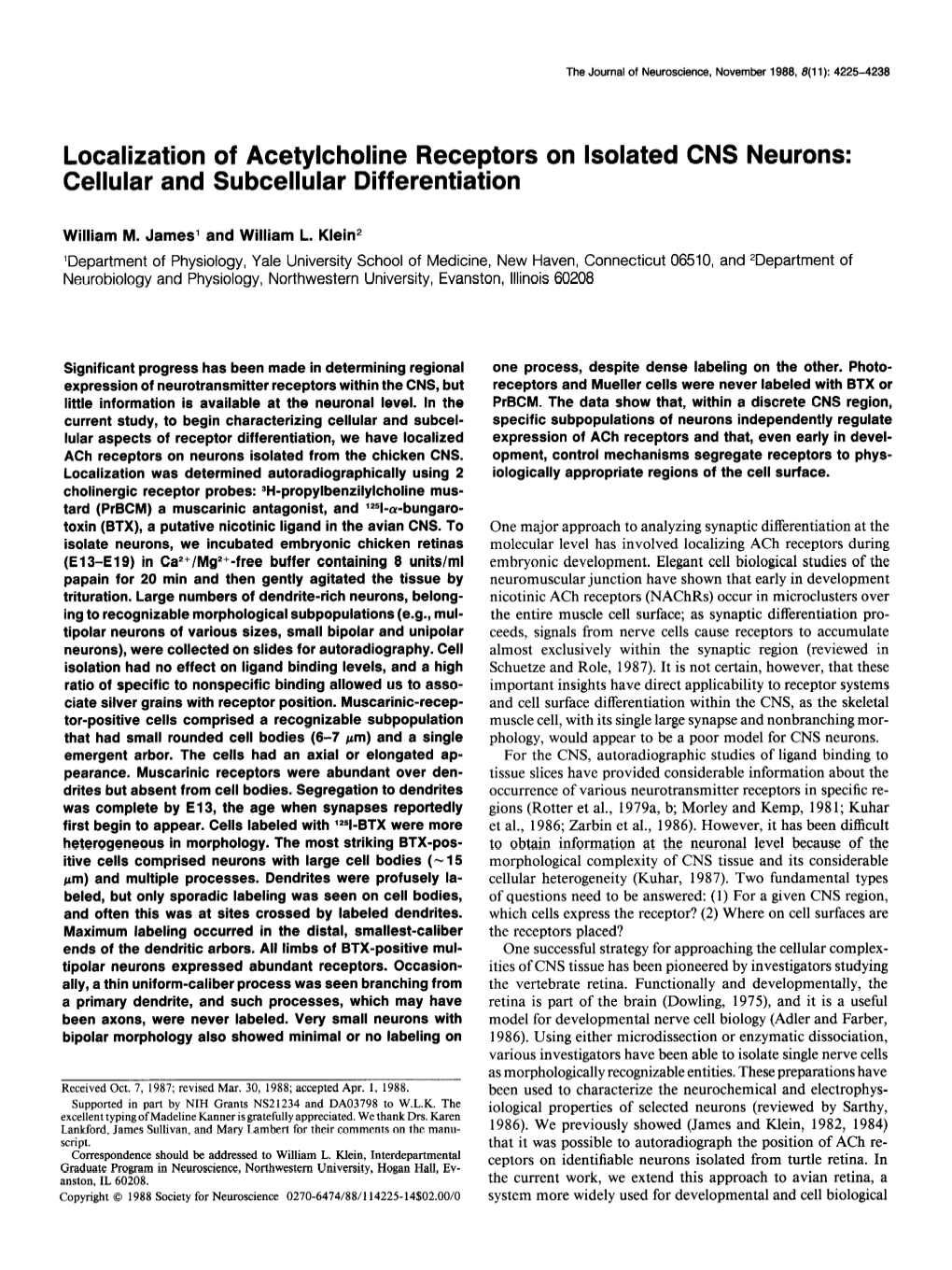 Localization of Acetylcholine Receptors on Isolated CNS Neurons: Cellular and Subcellular Differentiation