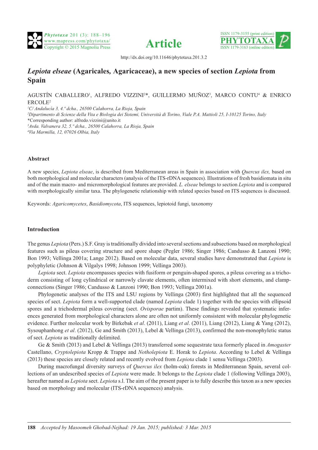 Lepiota Elseae (Agaricales, Agaricaceae), a New Species of Section Lepiota from Spain