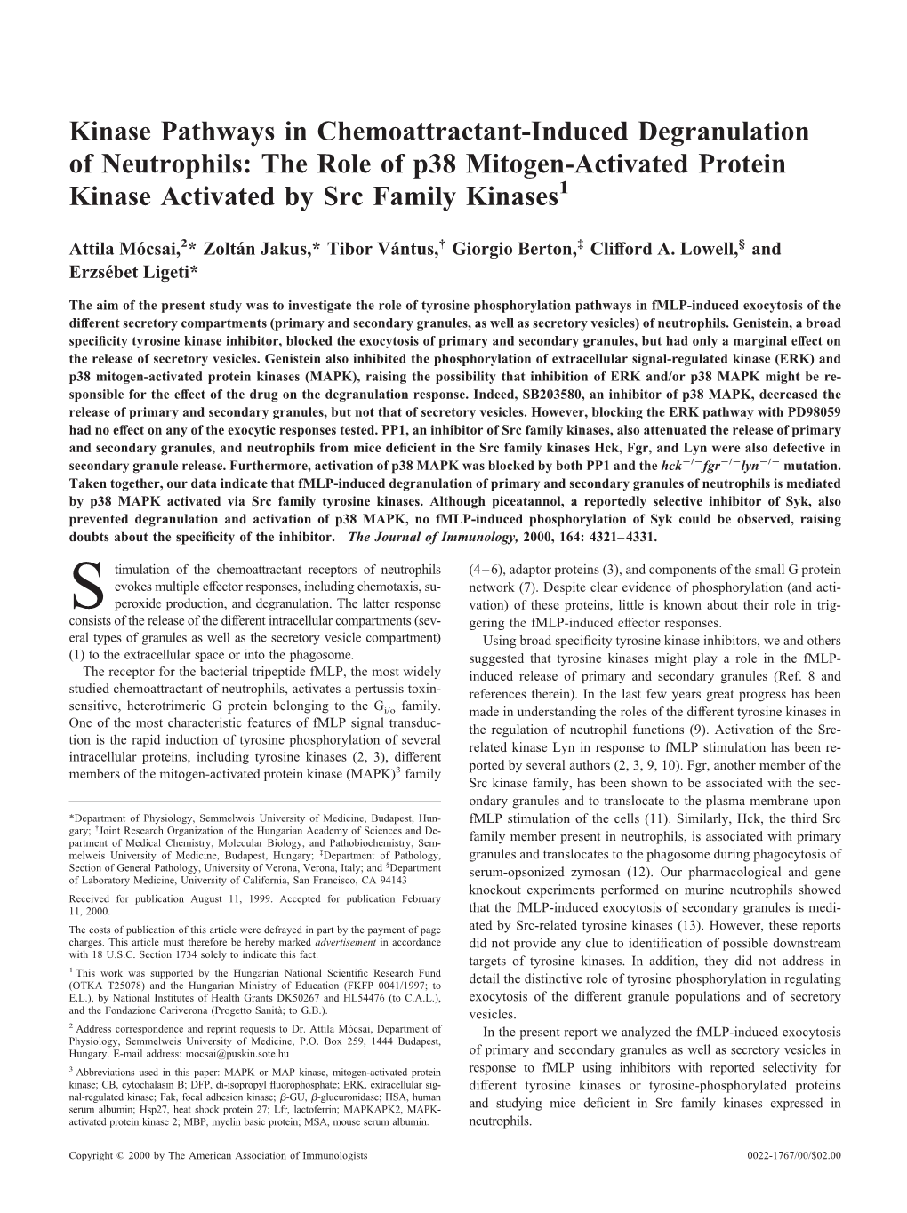 By Src Family Kinases Mitogen-Activated Protein Kinase