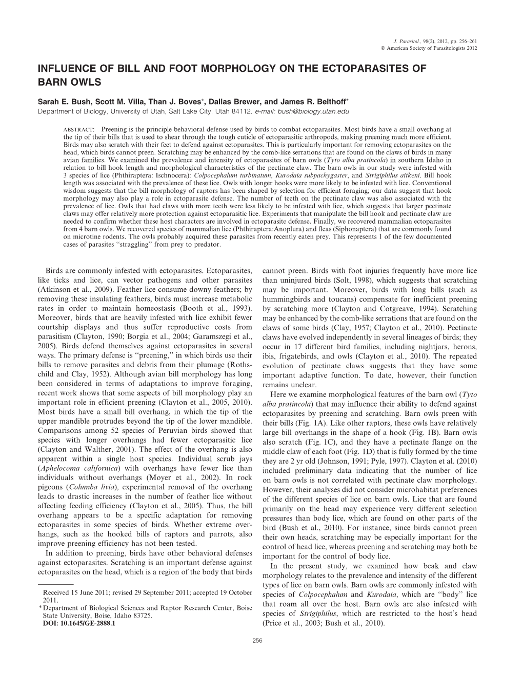 Influence of Bill and Foot Morphology on the Ectoparasites of Barn Owls