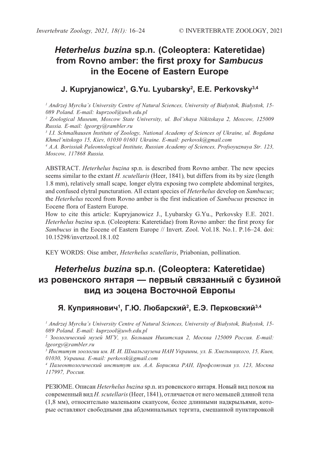 Heterhelus Buzina Sp.N. (Coleoptera: Kateretidae) from Rovno Amber: the First Proxy for Sambucus in the Eocene of Eastern Europe