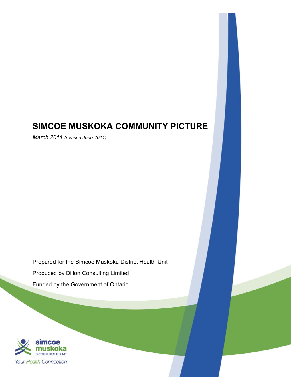 Community Picture Report Executive Summary