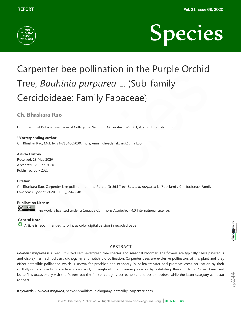 Carpenter Bee Pollination in the Purple Orchid Tree, Bauhinia Purpurea L. (Sub-Family Cercidoideae: Family Fabaceae)