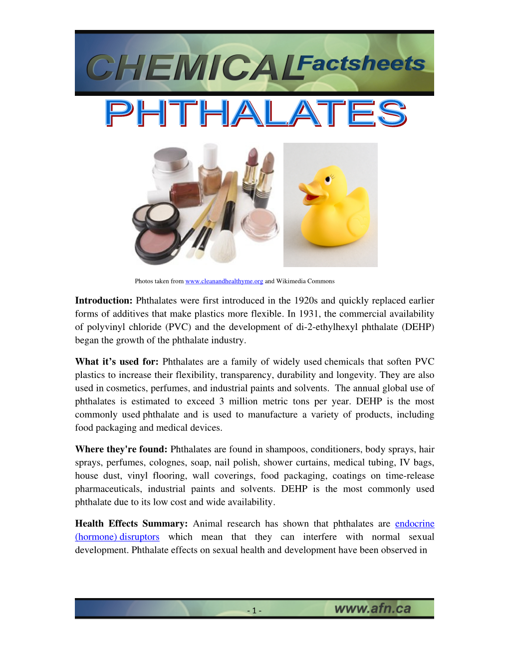Introduction: Phthalates Were First Introduced in the 1920S and Quickly Replaced Earlier Forms of Additives That Make Plastics More Flexible