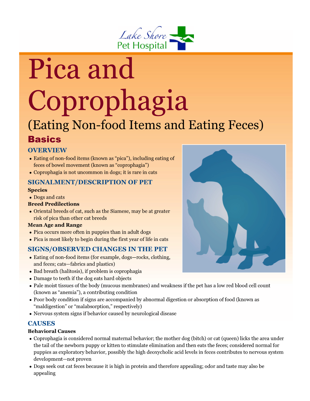 Pica and Coprophagia