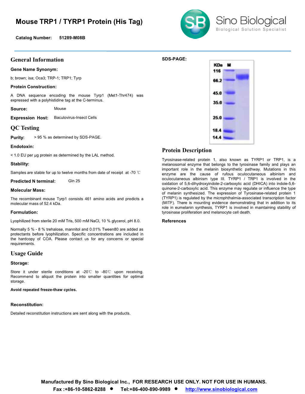 Mouse TRP1 / TYRP1 Protein (His Tag)