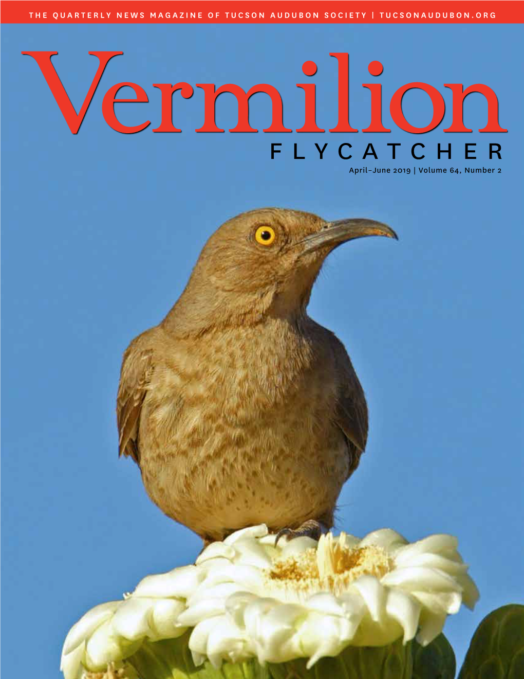 Flycatcher April–June 2019 | Volume 64, Number 2 Contents